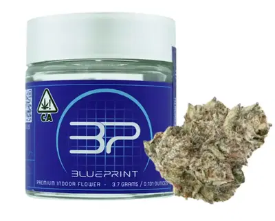 P90 by Blueprint Cannabis cannabis strain