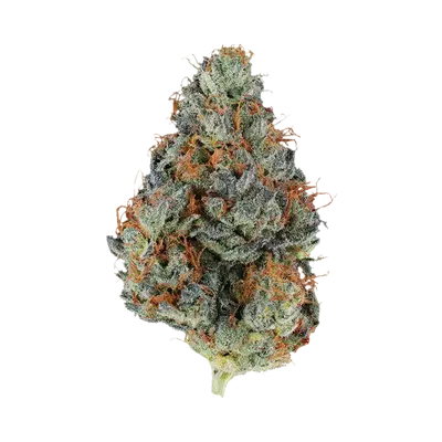 Pacific Cool by Klutch Cannabis cannabis strain
