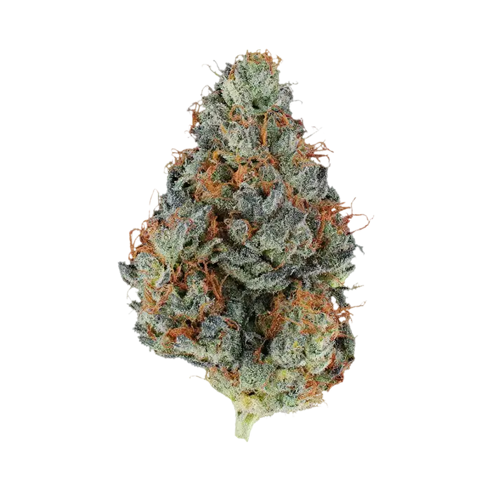 Pacific Cool by Klutch Cannabis cannabis strain