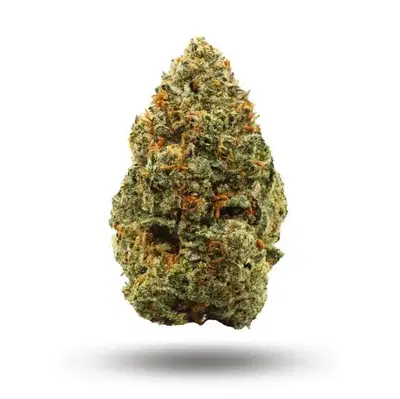 Paradise Waits by Scarlet Fire Farms cannabis strain
