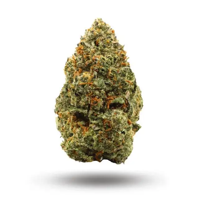 Paradise Waits by Scarlet Fire Farms cannabis strain