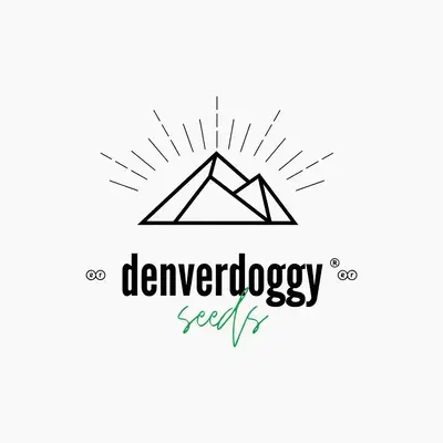 Peach Mango by Denverdoggy Seeds cannabis strain