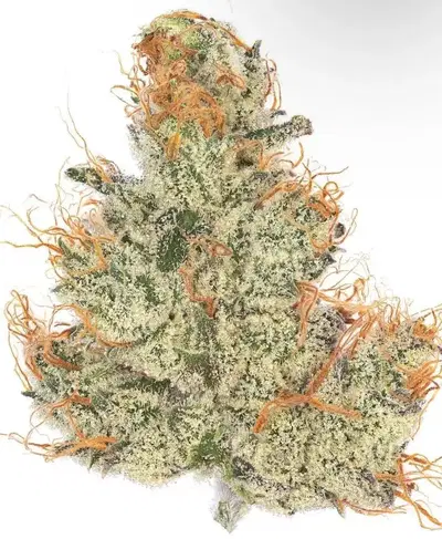 Peach Milano by Garden State Genetics cannabis strain
