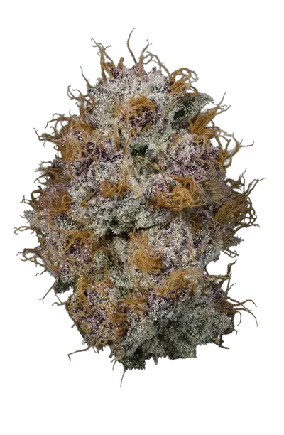 Peels by The Heights Co cannabis strain