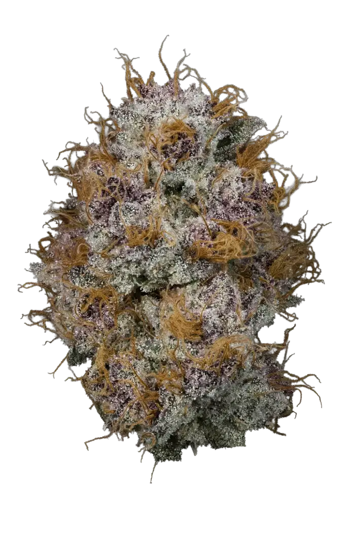 Peels by The Heights Co cannabis strain