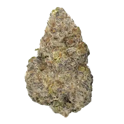 Pink Zoap by Sure Fire Selections cannabis strain