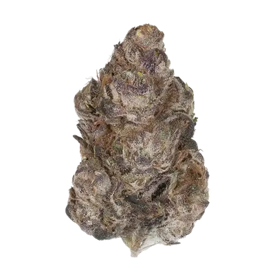 Pomengranade by High Grade Selections cannabis strain