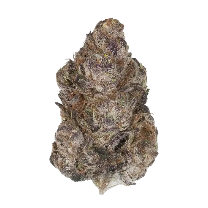 Pomengranade by High Grade Selections cannabis strain