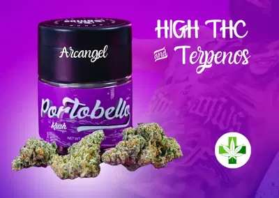 Portobello Kush by Buds Dispensaries cannabis strain