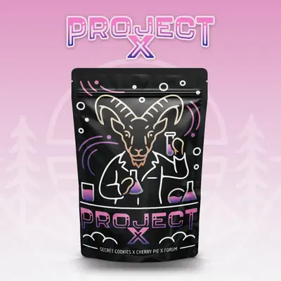 Project X by Scapegoat Genetics cannabis strain