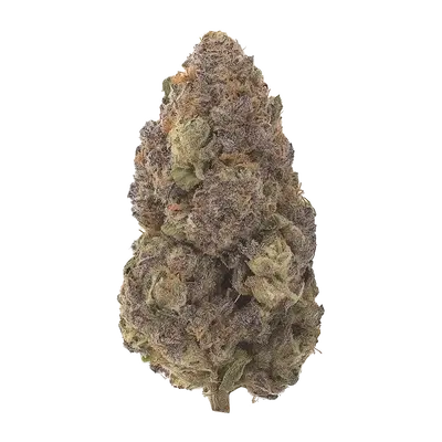 Punk Rock by Runtz Crew cannabis strain