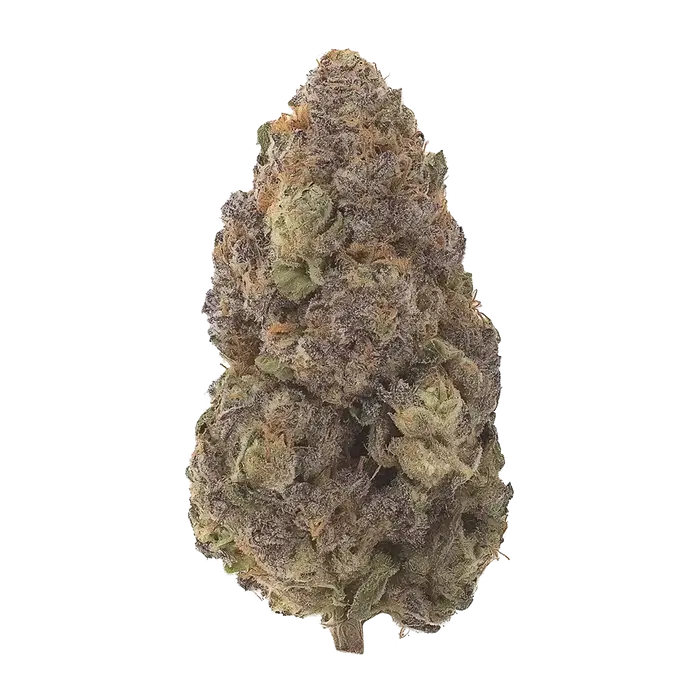 Punk Rock by Runtz Crew cannabis strain