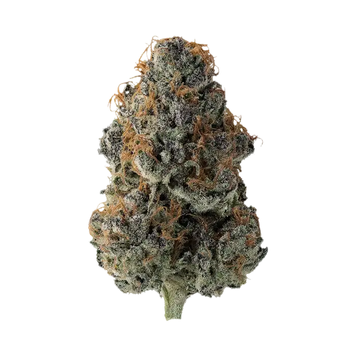 Purp 43 by Klutch Cannabis cannabis strain