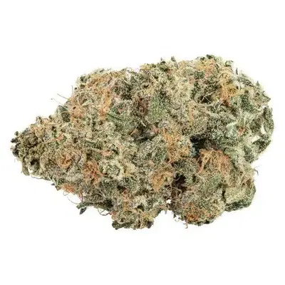 Purple Cherry Punch by Big Bag O 039 Buds cannabis strain