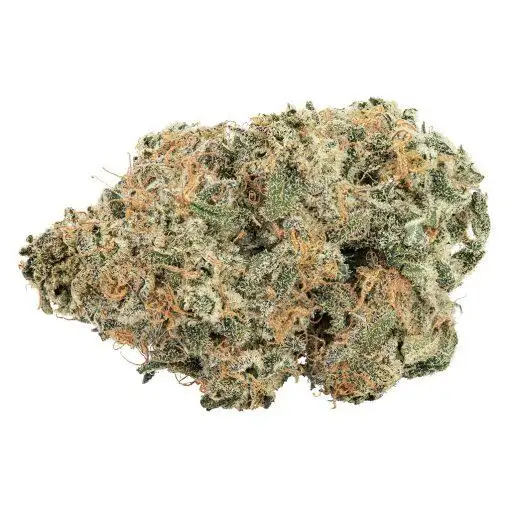 Purple Cherry Punch by Big Bag O 039 Buds cannabis strain