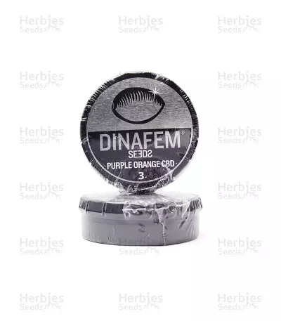 Purple Orange CBD by Dinafem, Photoperiod cannabis strain
