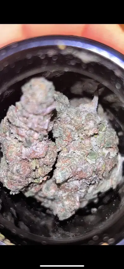 Rainbow Lemons by Ez Genetics cannabis strain