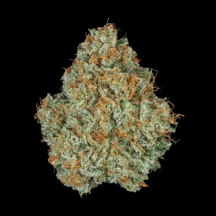 Rbzl by Bosky Genetics cannabis strain