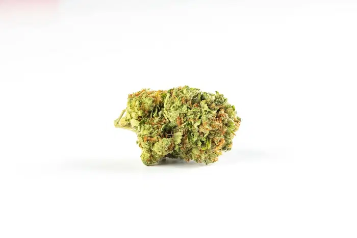 Red Rhino Regular by Seach Medical Group cannabis strain