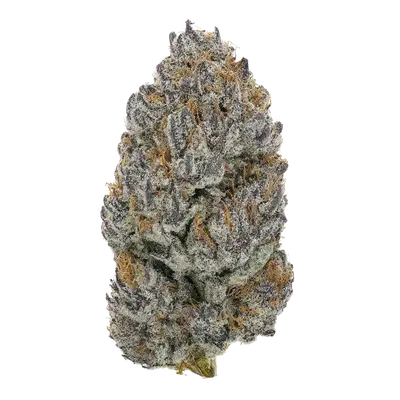 Rotten Citrus by Offensive Selections cannabis strain