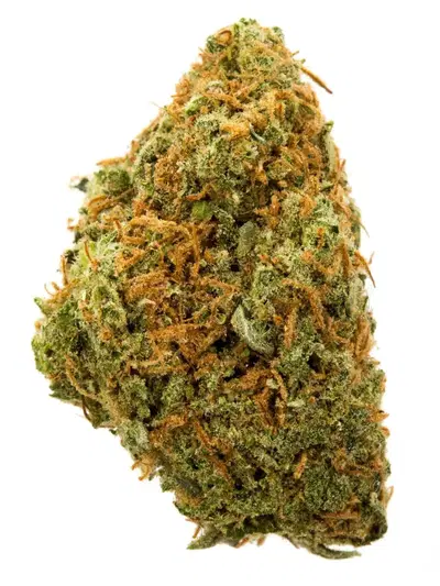 Royal Slippers by Red Dirt Sungrown cannabis strain