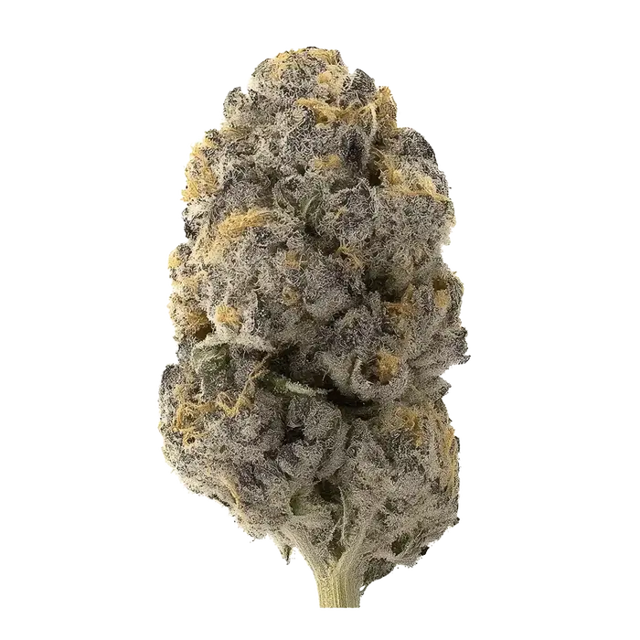 Rush by Adam Dunn cannabis strain