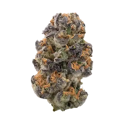 Sakura by La Family Farms cannabis strain