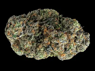 Saturday Cartoonz by Turtle Pie Co cannabis strain