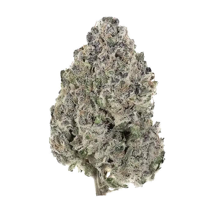 Sea Breeze by Xeno Seed Company cannabis strain