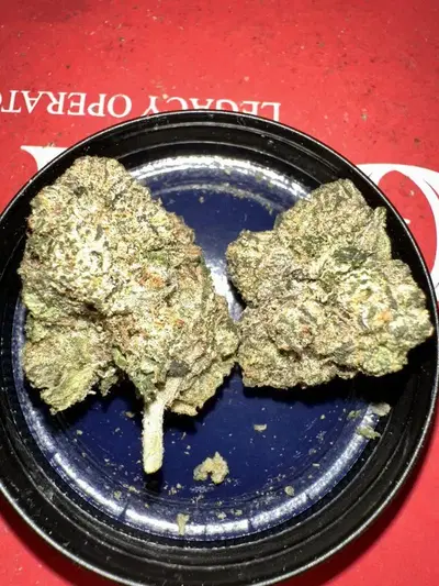 Snake Charmer by Ronin Seeds cannabis strain