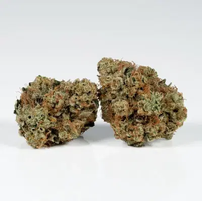Sour Fuel by La Family Farms cannabis strain