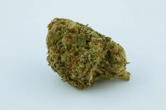 Sour Lemonade by Dank Genetics cannabis strain