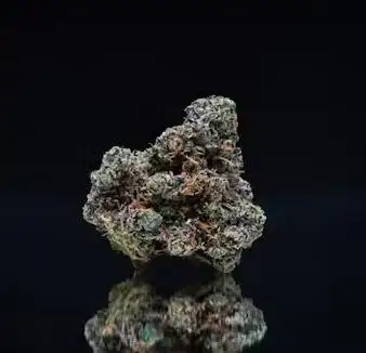 Sour Runtz by Nameless Genetics, Photoperiod cannabis strain