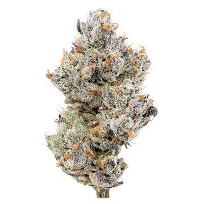 Stuffed Donut by Team Elite Genetics cannabis strain