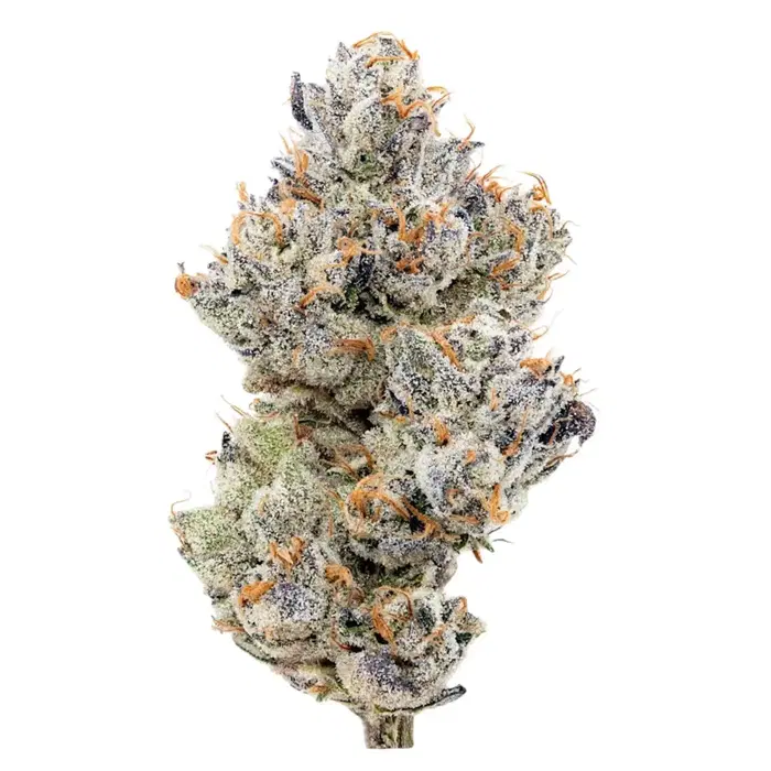 Stuffed Donut by Team Elite Genetics cannabis strain