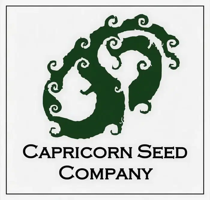 Sugar Daddy by Capricorn Seed Company cannabis strain