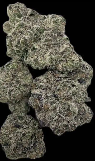 Sunday Paper by Turtle Pie Co cannabis strain