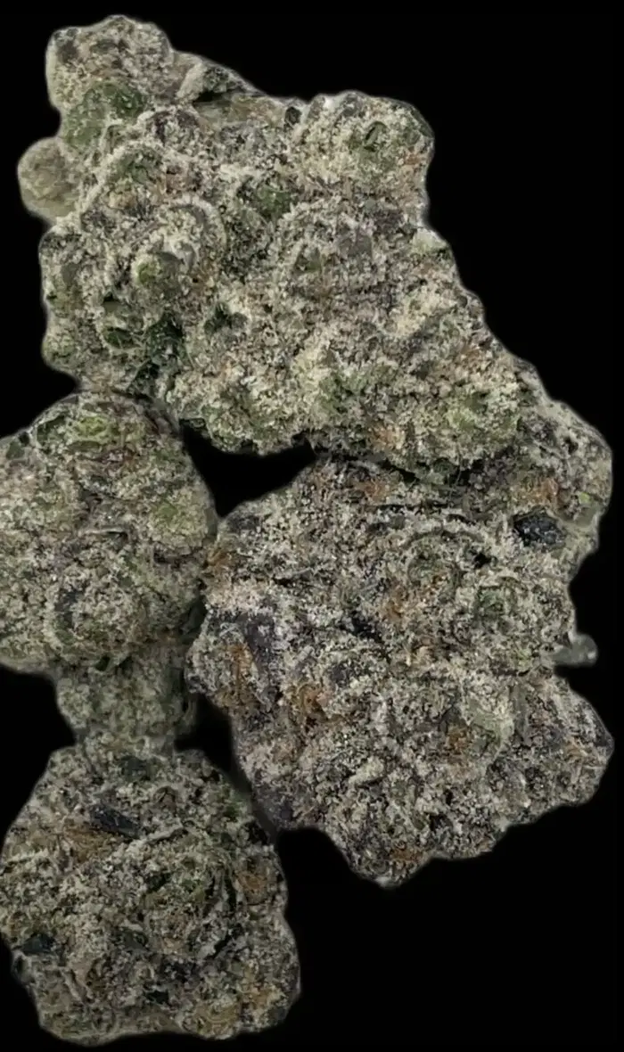 Sunday Paper by Turtle Pie Co cannabis strain