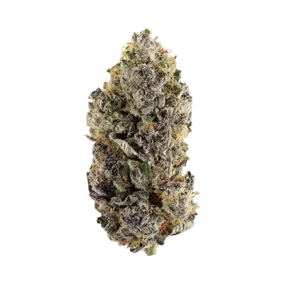 Super Freak by Sexual Chocolate Factory cannabis strain