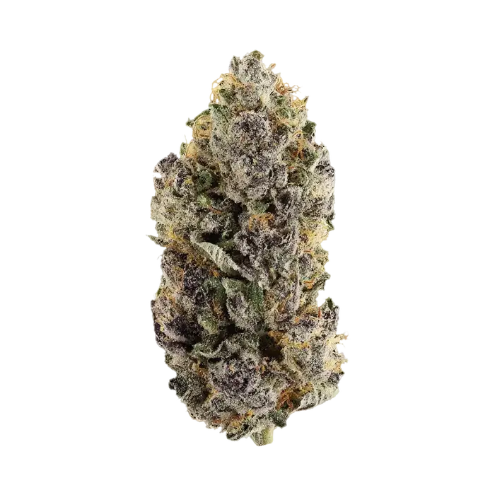 Super Freak by Sexual Chocolate Factory cannabis strain