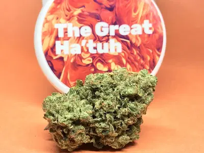 The Great Ha’Tuh by Progressive Treatment Solutions Pts cannabis strain