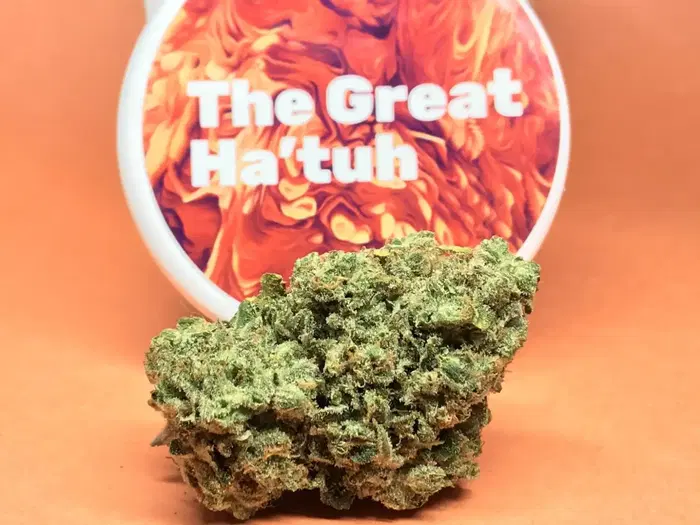 The Great Ha’Tuh by Progressive Treatment Solutions Pts cannabis strain