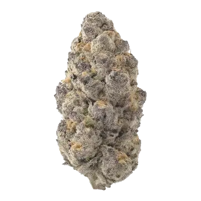 Tropic Thunder by Ziplock Seeds cannabis strain