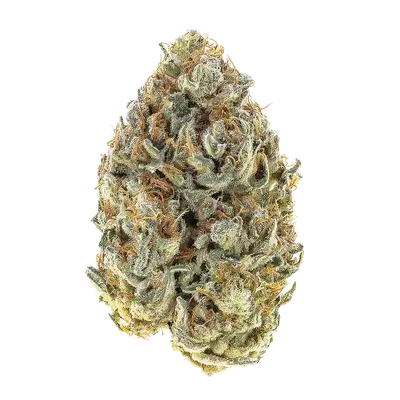Tropical Sherbet by Party Time Farms cannabis strain