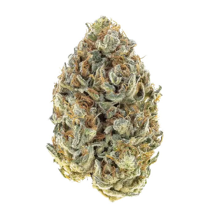 Tropical Sherbet by Party Time Farms cannabis strain