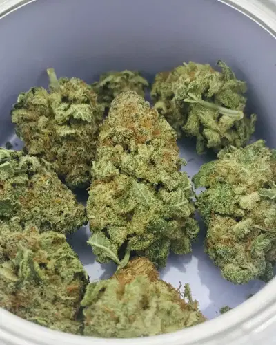 Tropical Sunrise by Matter cannabis strain