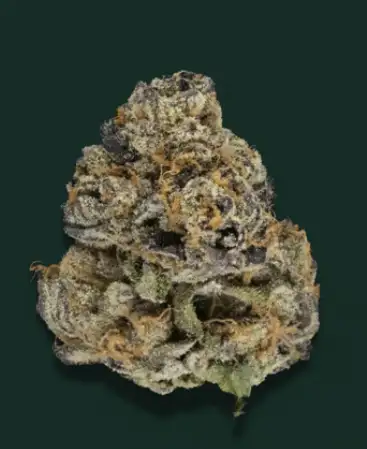 Ube Cake by The Botanist cannabis strain