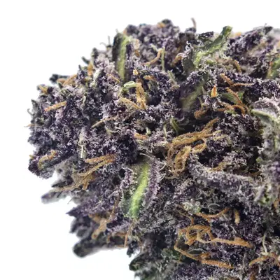 Velvet Purps by Sun Roots Farm cannabis strain
