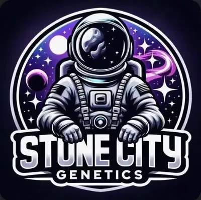 Wedding Cake X Mac by Stone City Genetics cannabis strain