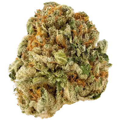 White Papaya by Oni Seed co., Photoperiod cannabis strain